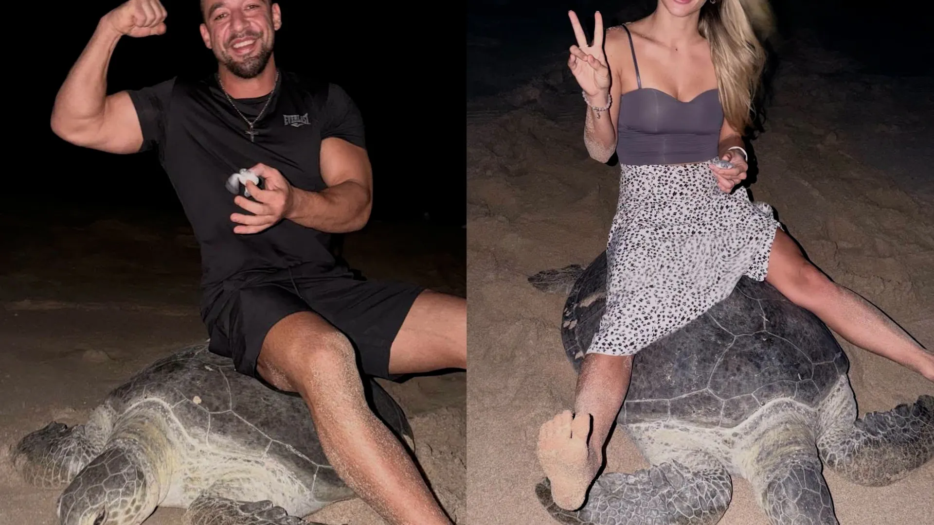 Tourists face legal action over turtle-riding video in Oman