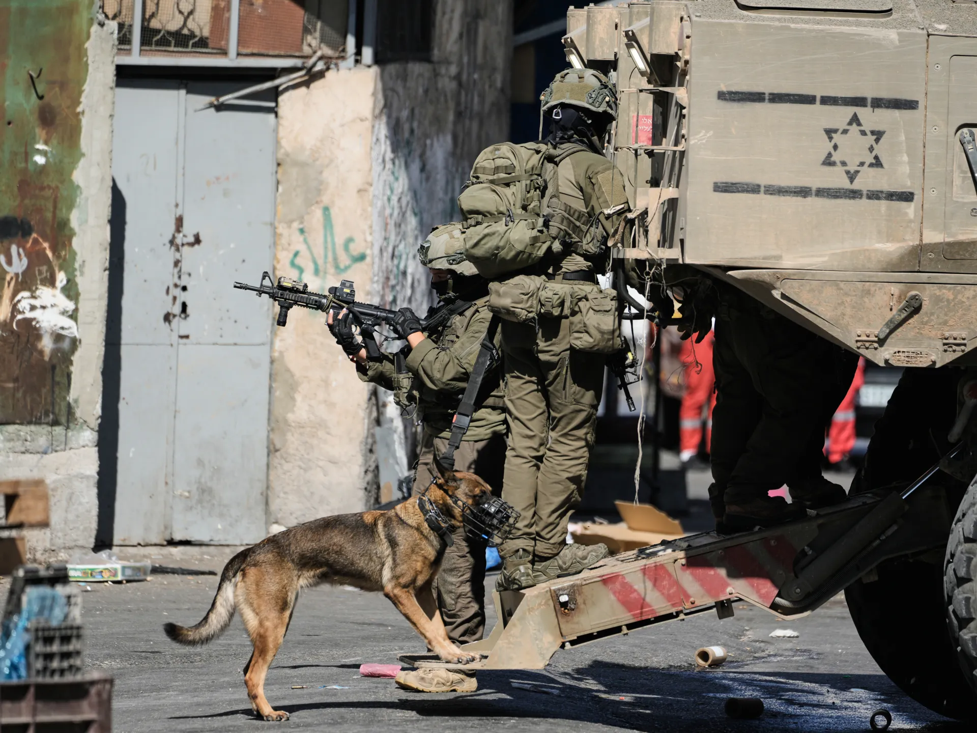 Palestine weekly: Violent disruptions from olive groves to Al-Aqsa Mosque