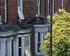 Man jumps out of first-floor window to escape kidnappers in Lincoln