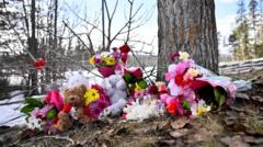 Canadian province sues OpenAI over Tumbler Ridge school shooting