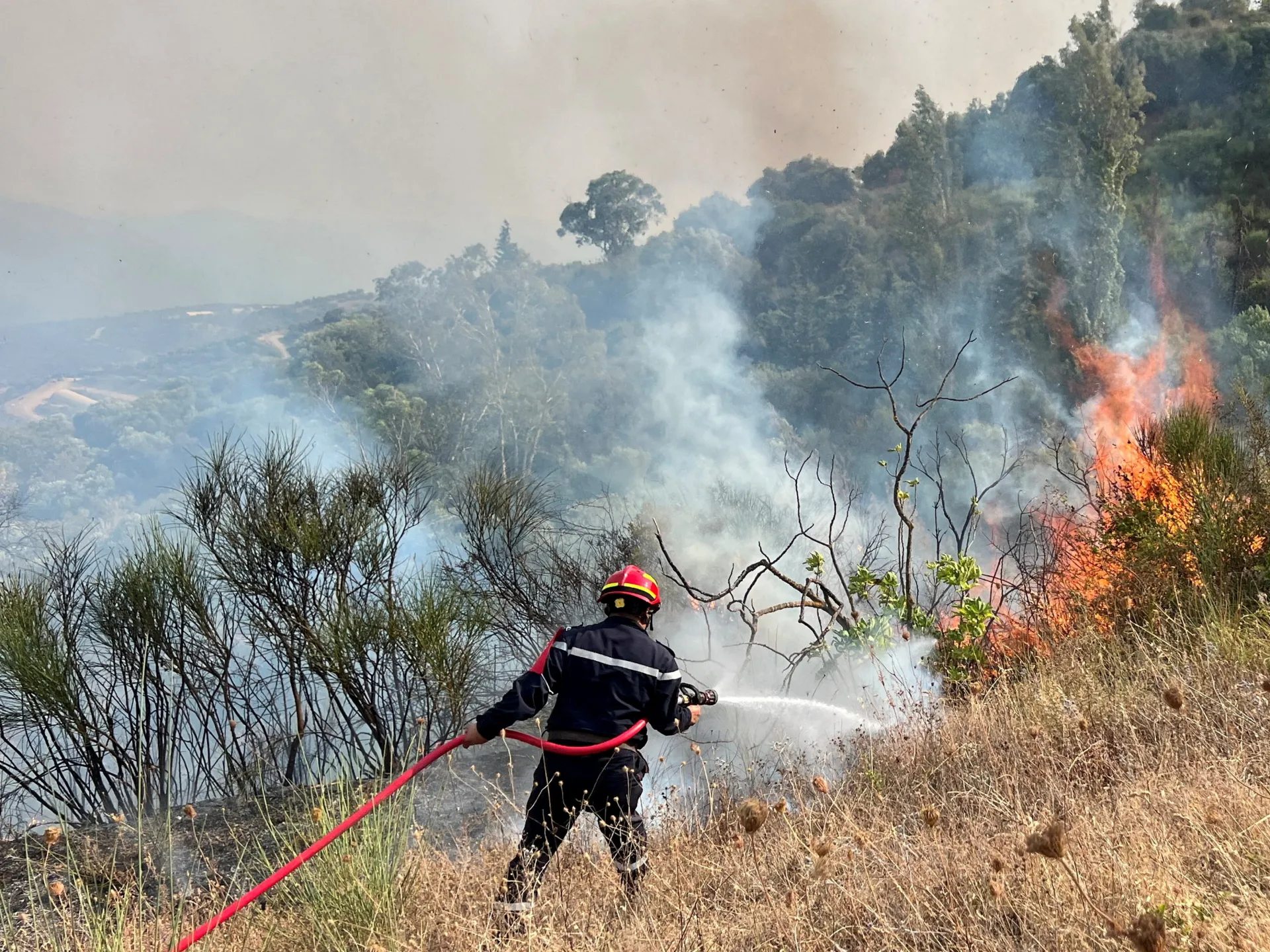 Death penalty bill for forest arsonists clears Algeria lower house