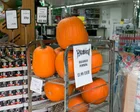 UK shoppers seek deals as grocery price inflation rises again