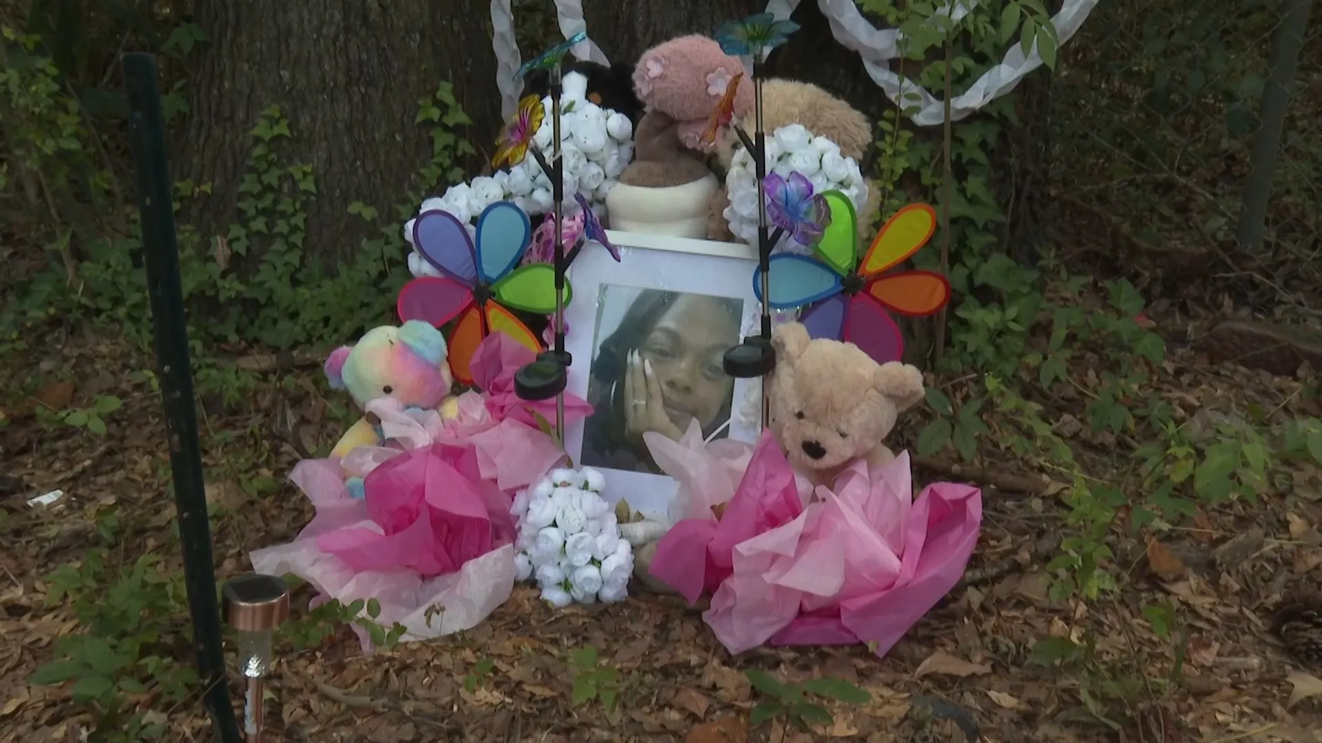Man arrested over killing of Tasia Fortune, found hanging from tree