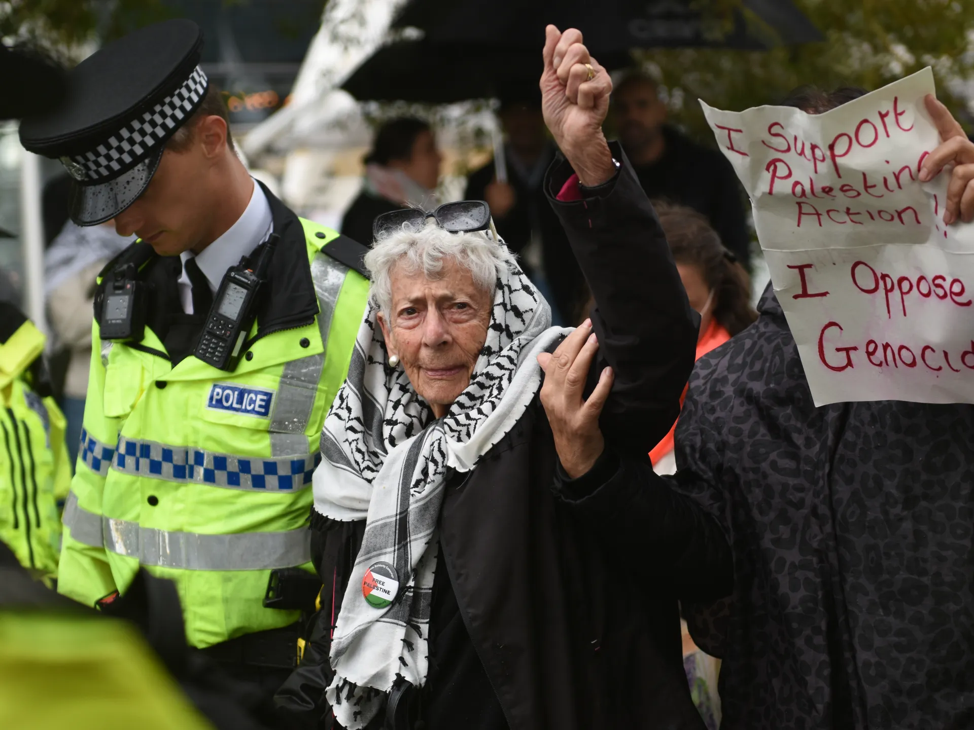 Jewish human rights barrister, 94, arrested for supporting Palestine Action