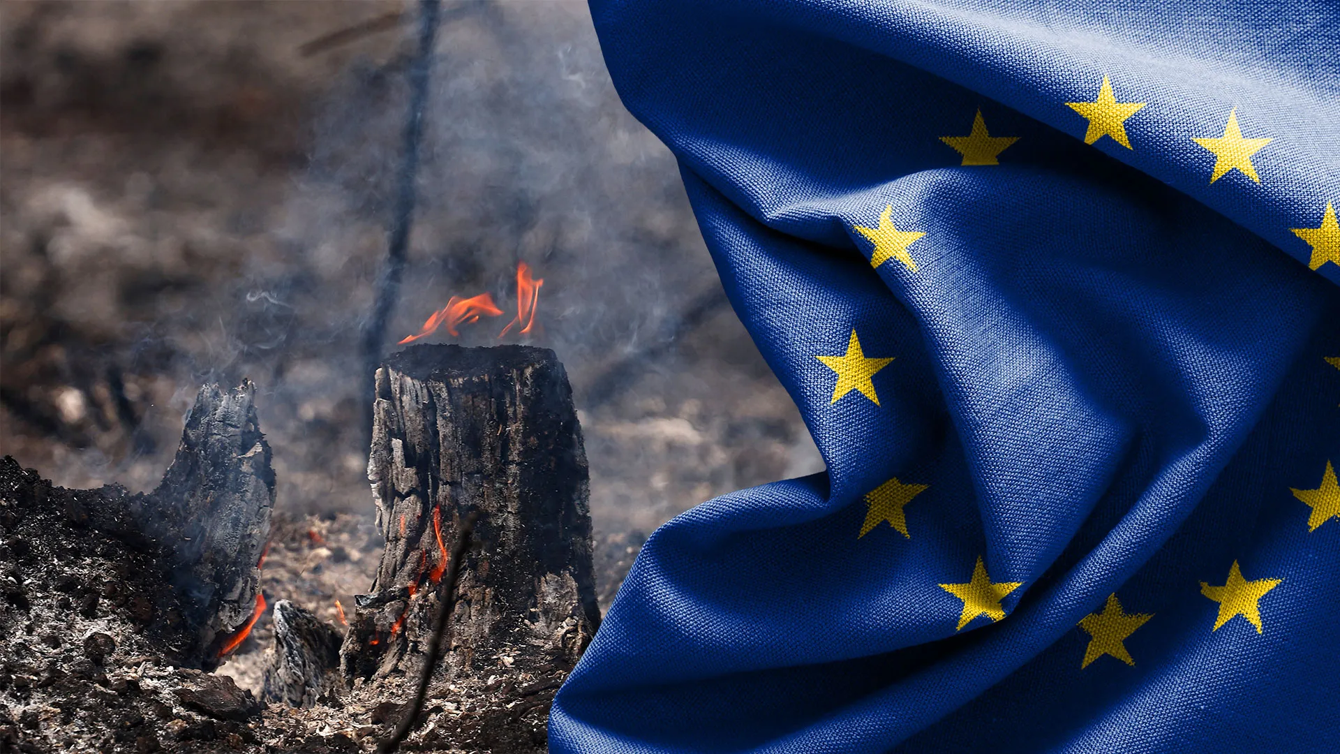 Heatwaves and energy crunch: Can Europe withstand a double shock?
