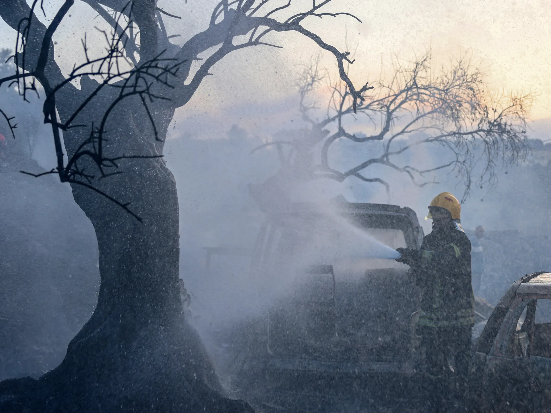 Palestine weekly: Olive harvest opens under assault