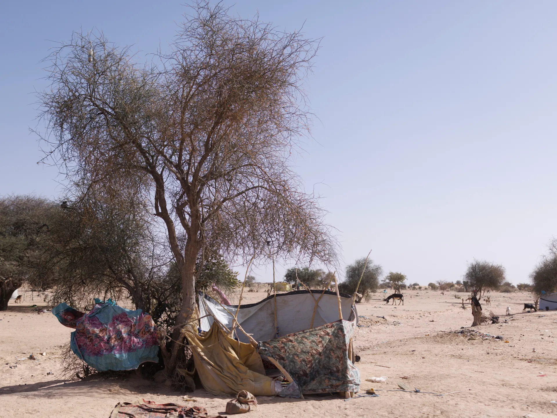 Chad accuses Sudan of air strike near shared border that killed 12