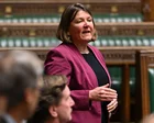 Greens must avoid ‘capture by extremists and racists’, says party MP