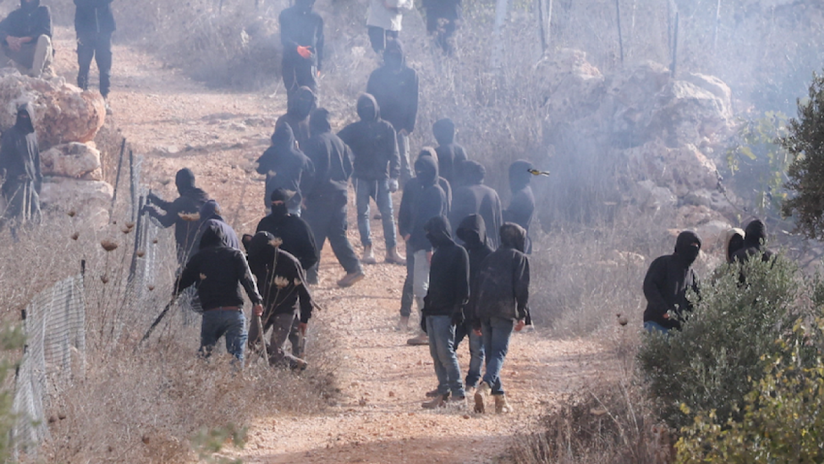 Palestinian olive trees torched as settler pogroms escalate during harvest