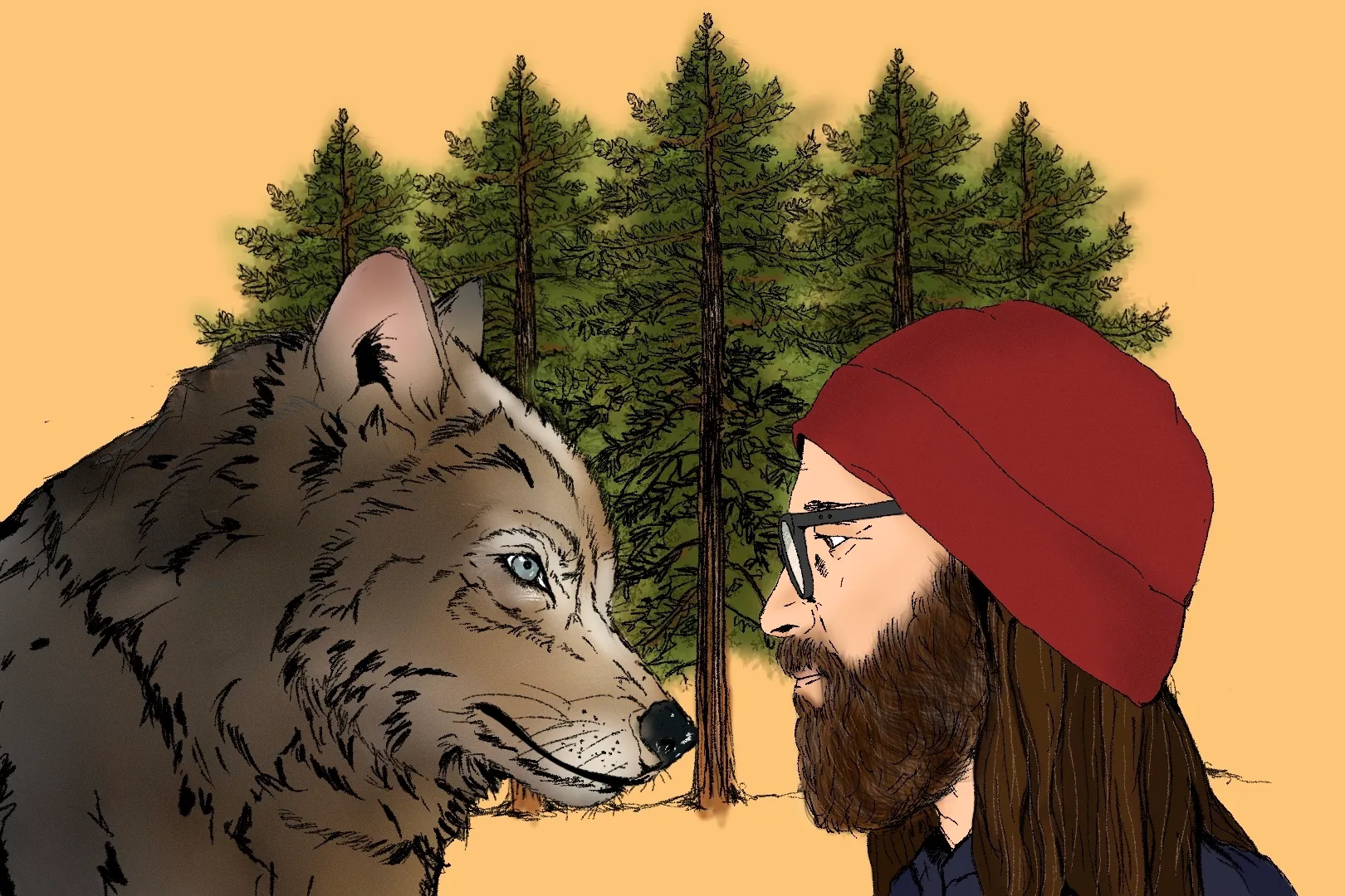 Wolf encounter: A photographer on what humans have lost