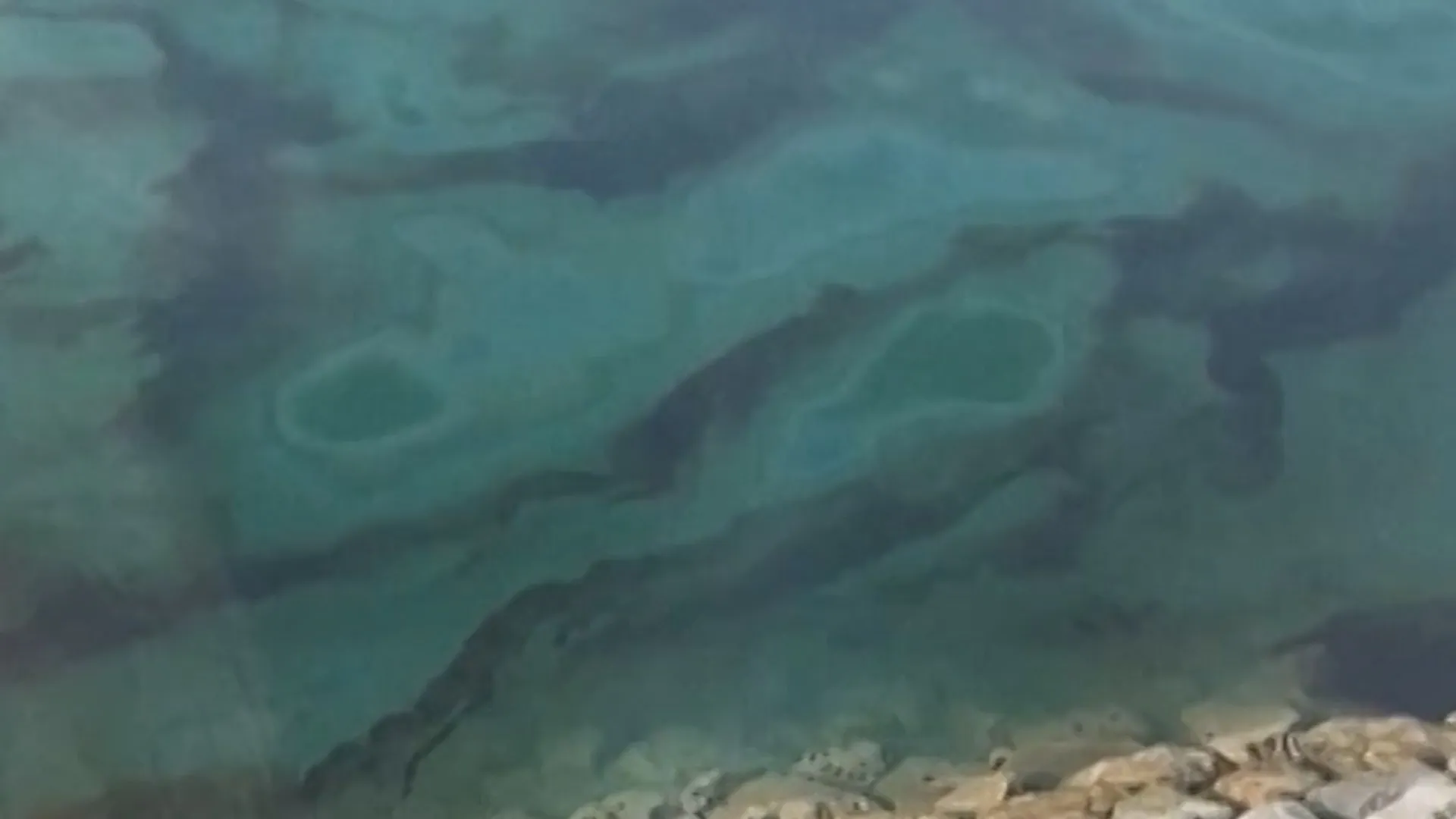 Hormuz oil spill forces closure of UAE beaches