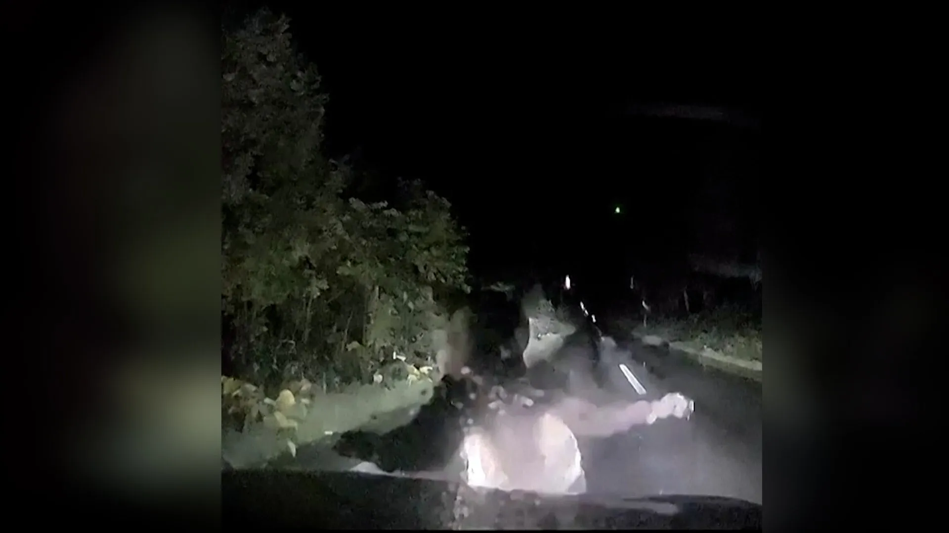 Moment mother bear slams into car to protect cub