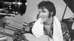 Owners of Elvis music rights sue Anthropic for copyright violations