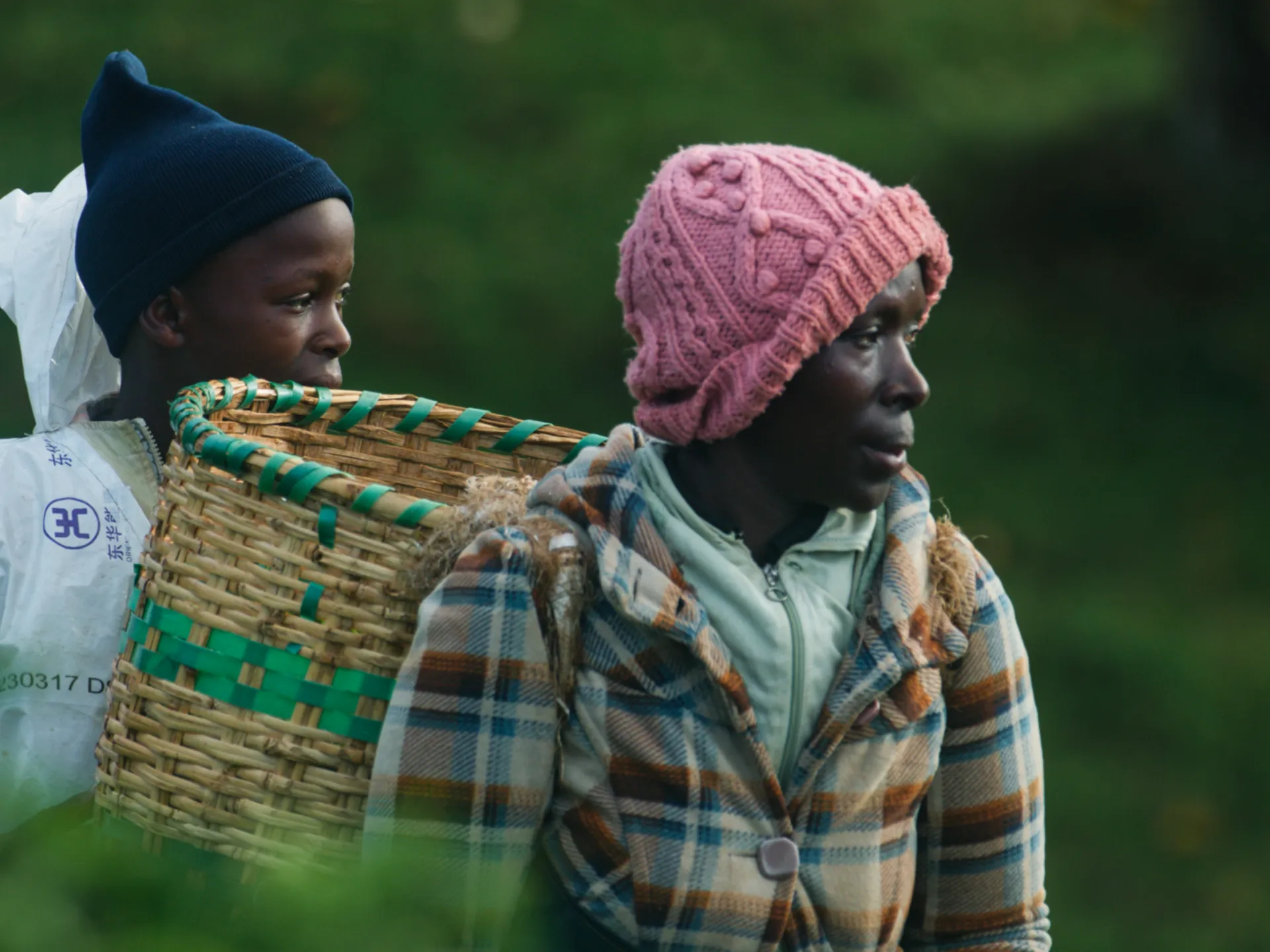 The filmmaker taking on Kenya’s colonised tea plantations