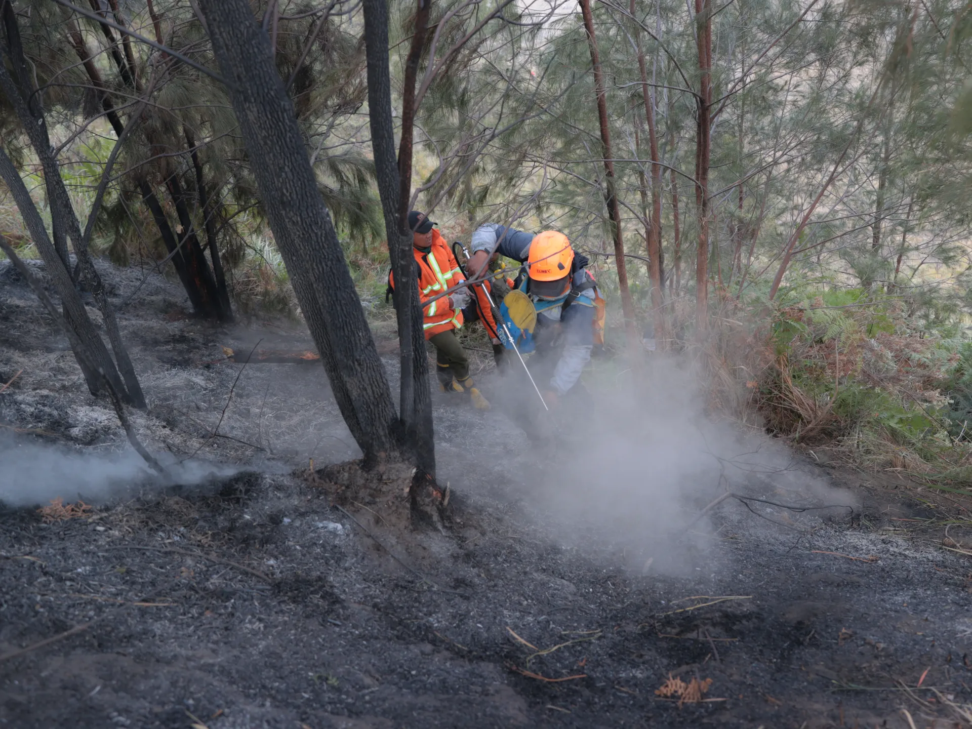 Indonesian officials race to contain wildfires as dozens of schools shut