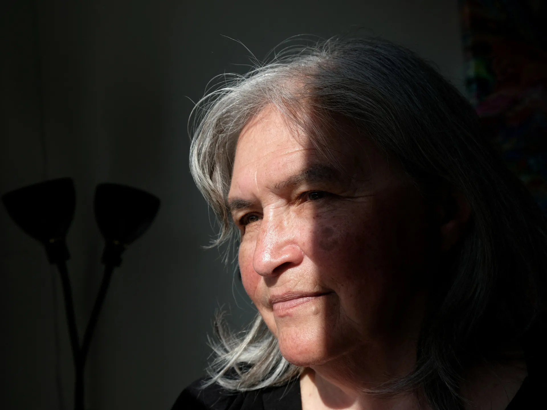 Forced birth control in Greenland violated women’s rights, experts find