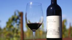 Thieves steal 30,000 wine bottles worth €5m in Italy, reports say